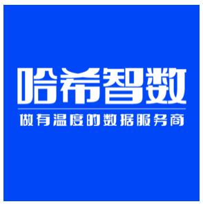 哈希智数 Logo